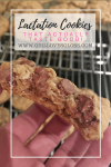 Chocolate Oatmeal Lactation Cookie Recipe